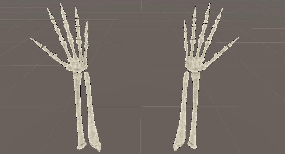 ../../../../_images/Skeleton-Hands-wArms.png