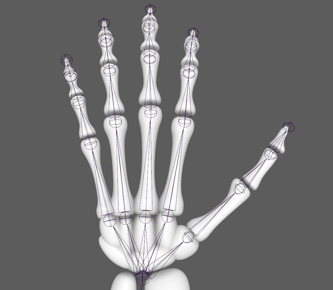 Skeleton hand model