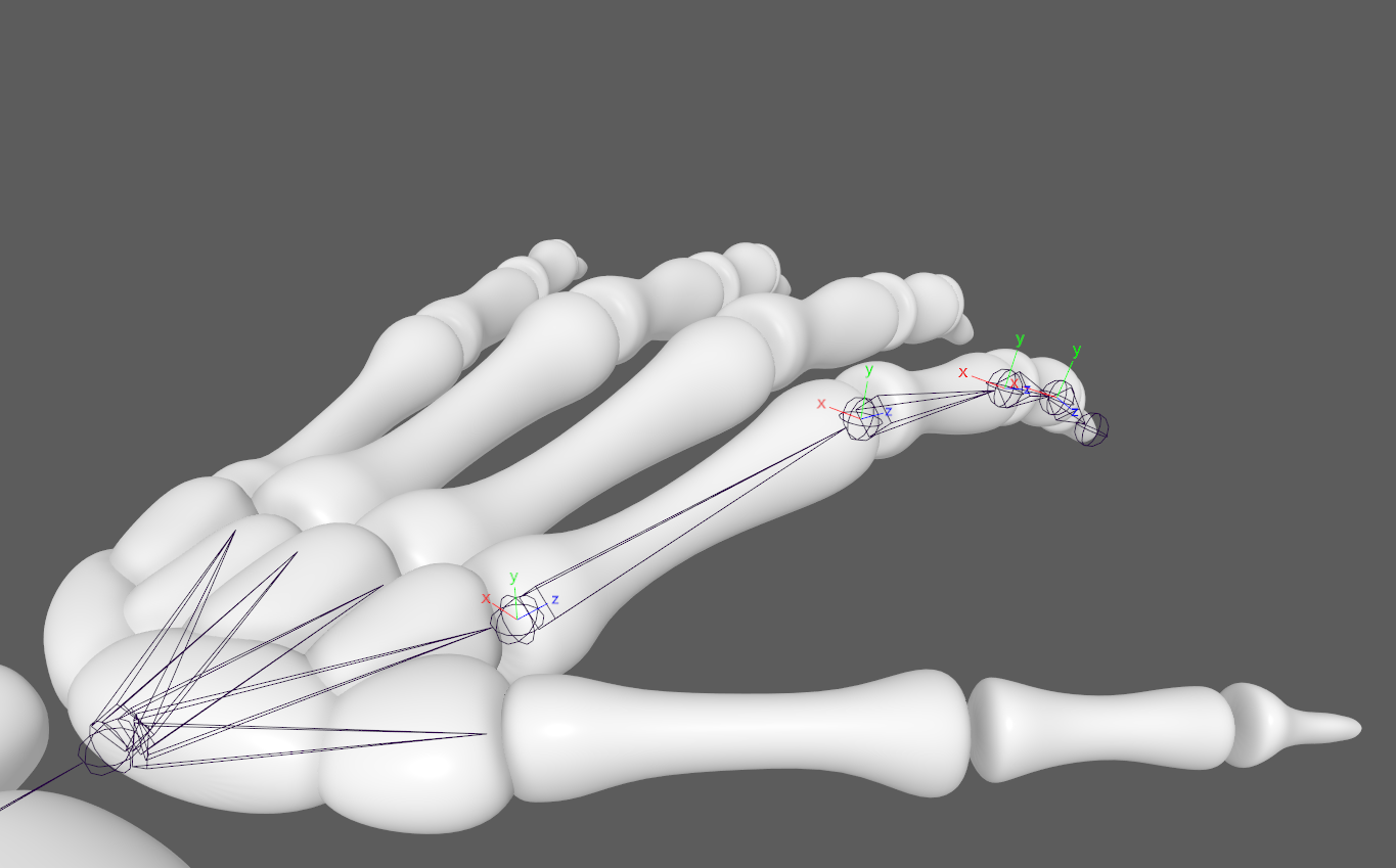 Skeleton hand model